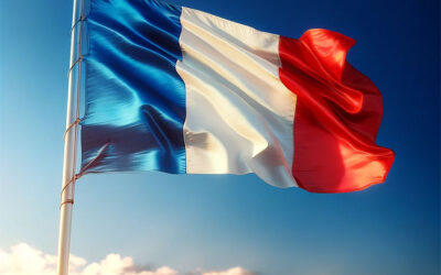 The Triman logo and sorting instructions in France