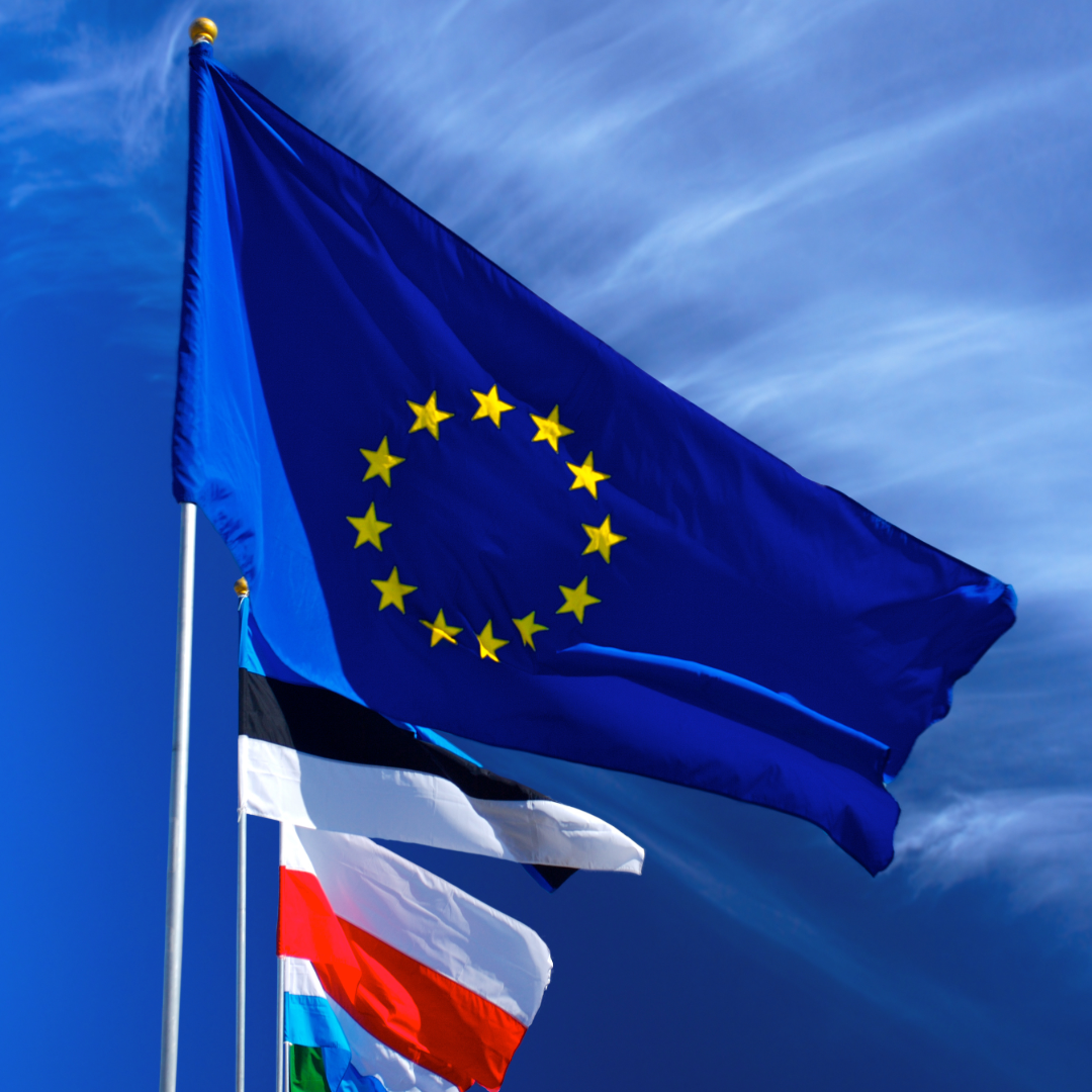 Blogbeitrag-eu-2 Authorised representative
