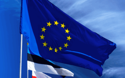 Authorised Representative in Europa: Welche Arten gibt es und wann sind sie nötig?